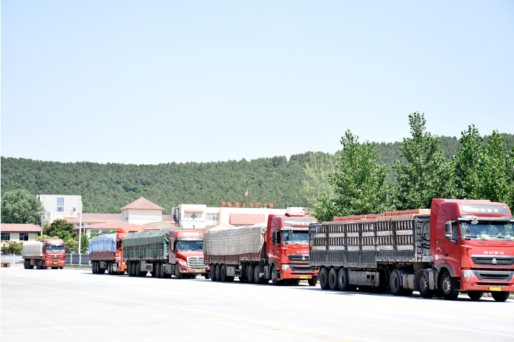 港琴物流助力家电品牌降本增效(图1) 港琴物流助力家电品牌降本增效(图1)